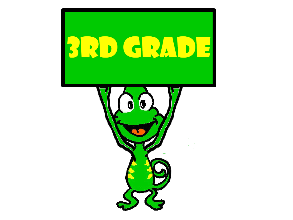 3rd Grade 3rd Grade